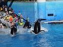 Sea World-139